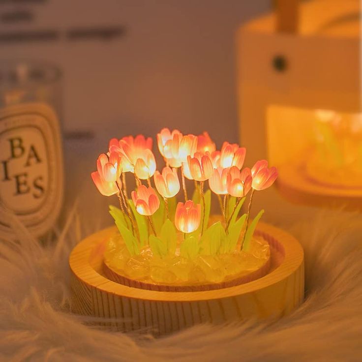 BLOSSOM DOME™ ✨ - The Special tulips