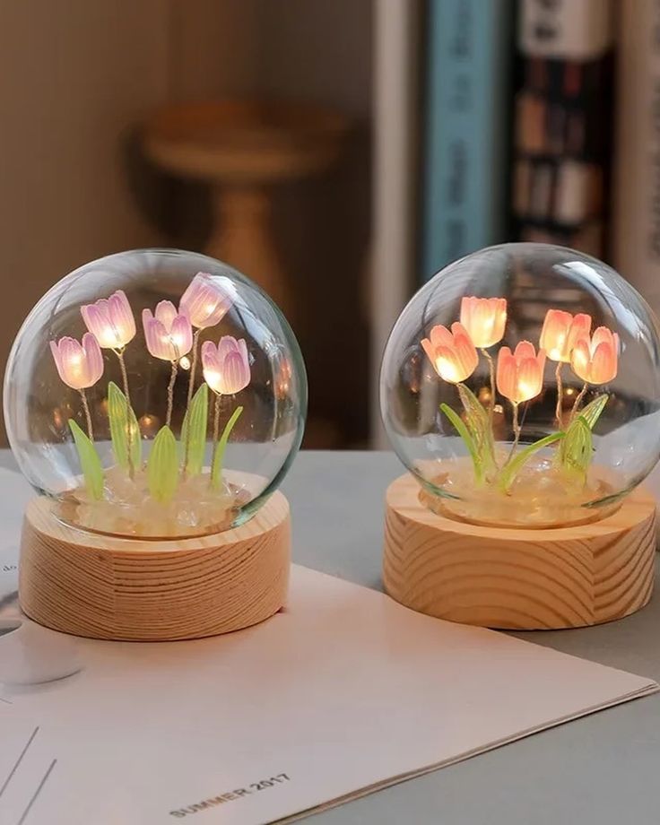 BLOSSOM DOME™ ✨ - The Special tulips