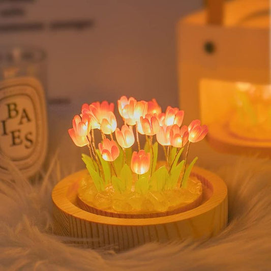 BLOSSOM DOME™ ✨ - The Special tulips