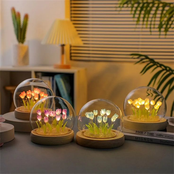 BLOSSOM DOME™ ✨ - The Special tulips